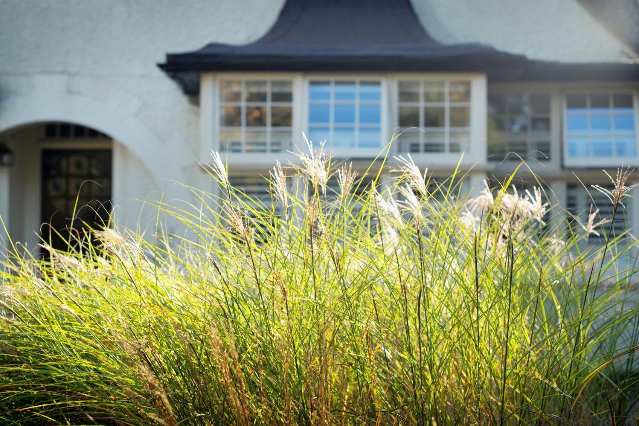 Daisybank Cottage Boutique Bed And Breakfast Brockenhurst Exterior photo
